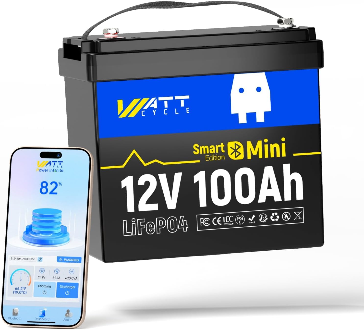 Lifepo4 12V 100Ah Bms Bluetooth - 12V 100Ah Mini LiFePO4 Batarya Grubu